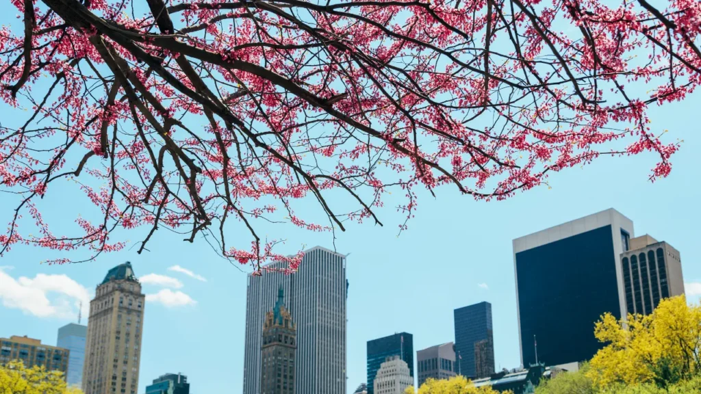 Melhor passe de atrações nova york